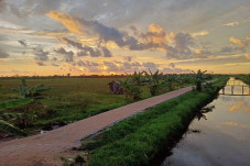 Sangat Dibutuhkan Petani,...