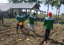 Solidaritas Generasi...