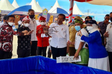 Lewat Reforma Agraria,...