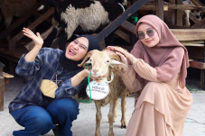 Rayakan Hari Raya Idul...