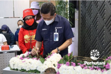 Perhutani Bangun Bisnis...