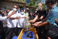 Upaya Terus Memperkuat...