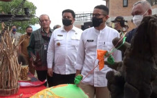 Manfaatkan Limbah Kayu,...