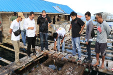 Pemuda Tani Resmikan...