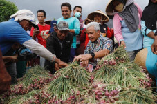Perkuat Ketahanan Pangan,...