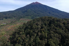 Desak Revisi Kebijakan...
