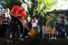 Ganjar Intensifkan Penanaman...