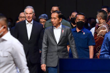 Akademisi Papua: Jokowi...