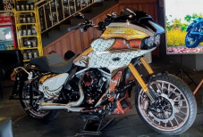 Harley-Davidson Bercorak...