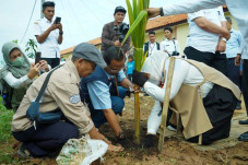 TJSL Peruri Tanam 300...