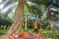 Raih Laba Rp5,51 Triliun,...