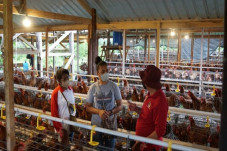 Kisah Papua Muda Inspiratif,...