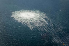 Rusia: NATO Harus Gelar...