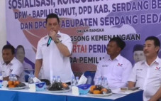 DPW Partai Perindo Sumut...
