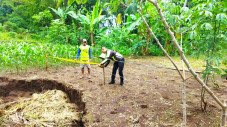 Heboh Tanah Ambles 2...