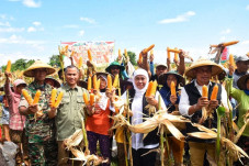 Jatim Pertahankan Kenaikan...