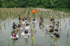 Dukung Penghijauan di...