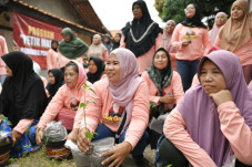 Program Petik Masak...