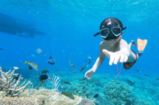 Karimunjawa Surga Tersembunyi...