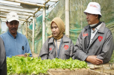 Langkah IFG Memperkuat...