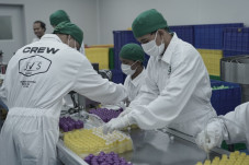 JVS Labz Dorong Perkembangan...
