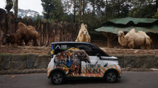 Jadi Hadiah, Wuling...