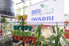 Melalui Program BRInita,...