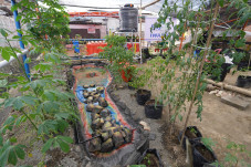Sulap Lahan Timbunan...