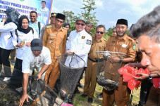 Model Demplot Jadi Keunggulan...