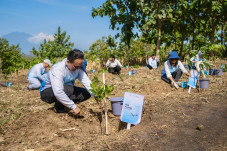 Pelita Air dan Pertamina...
