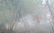 Puluhan Hektare Perkebunan...