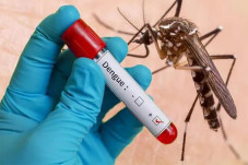 Cegah Dengue pada Anak...