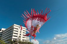 HUT Ke-79 RI, Sang Merah...