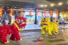 Barongsai, Lautan Lampion...