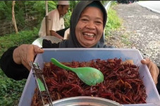 Cerita Warga Gunungkidul...