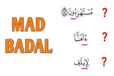 15 Contoh Bacaan Mad...