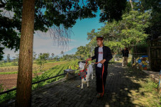 BRI Peduli Manfaatkan...