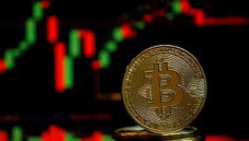 Program Referral Crypto...