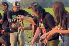 Bupati Indramayu Bikin...