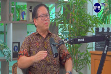 Peneliti IPB Ungkap...