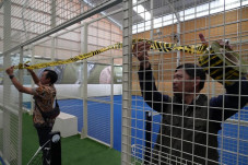 Lapangan Padel di Pulomas...