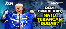 Demi Greenland, NATO...
