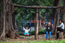 Taman Tomang, Alternatif...
