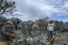 Pasca Erupsi Sinabung,...