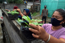 Warga Bambankerep Semarang...