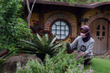 Taman Tematik Hobbit...