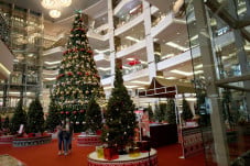 Pohon Natal Raksasa...