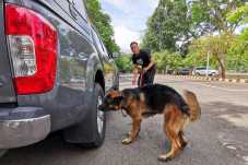 Pamdal DPR Latih Anjing...