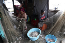 Nelayan Tradisional,...