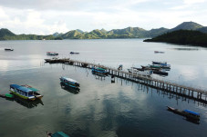 Pemerintah Terus Dorong...